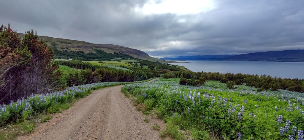 From Fossá in Hvalfjörður fjord. Ca. 60 km.