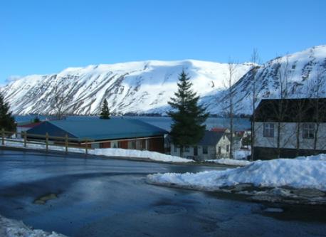 the view from the dining room window