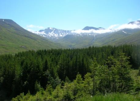 This is the nature in Siglufjordur, where there is a lot of oppurtunities to take walks