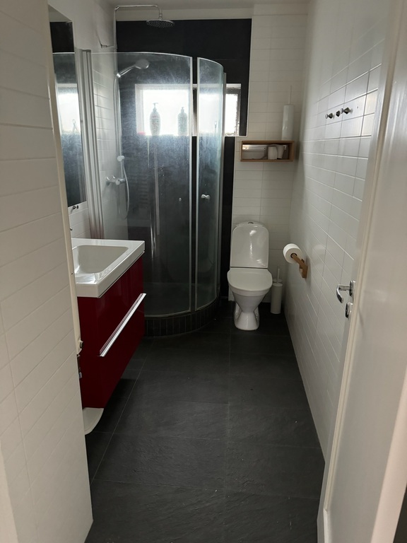 lower floor bathroom