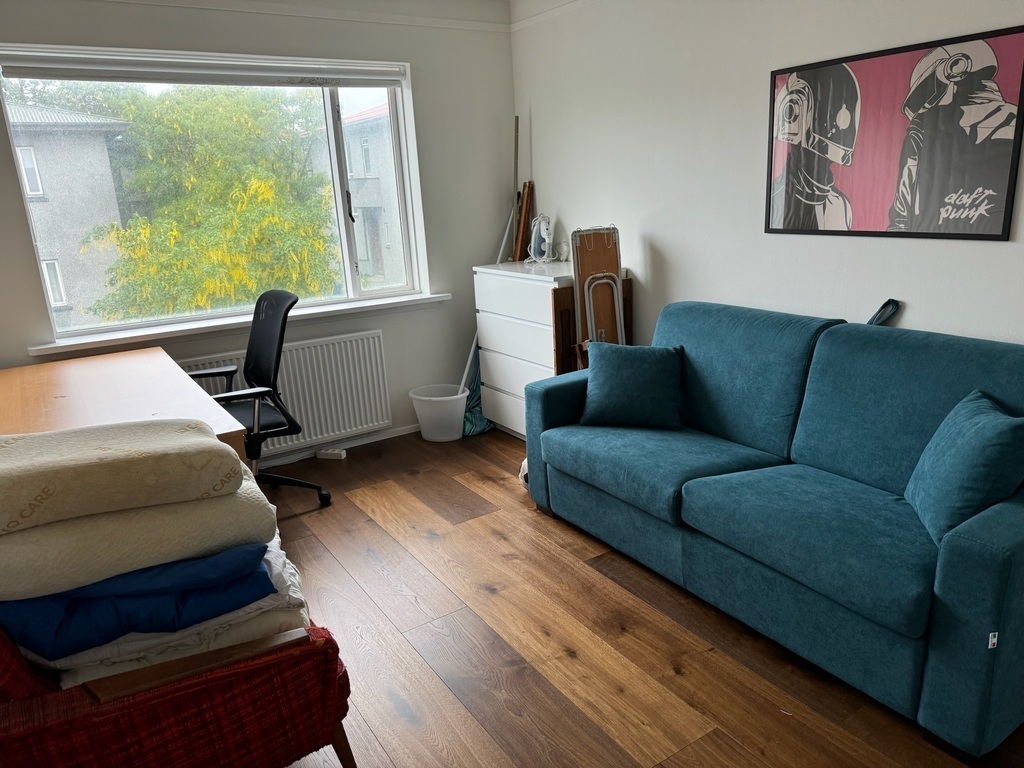 pull out sleeping couch in office on lower floor - space for 2