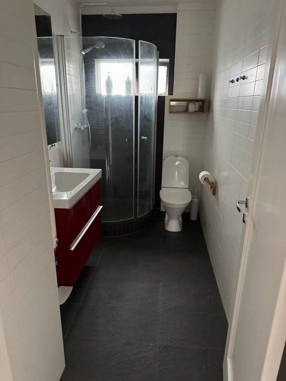 lower floor bathroom