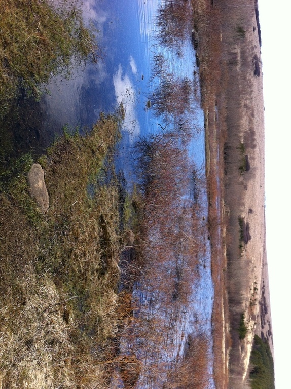 It takes around 10 minutes by car to Ástjörn from our home