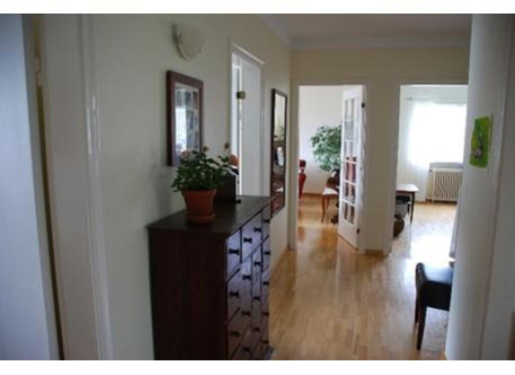 Downstairs hallway. Openings to office, dining room, living room, bedromm and kitchen in that order