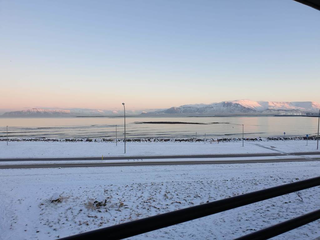 View from kitchen in winter