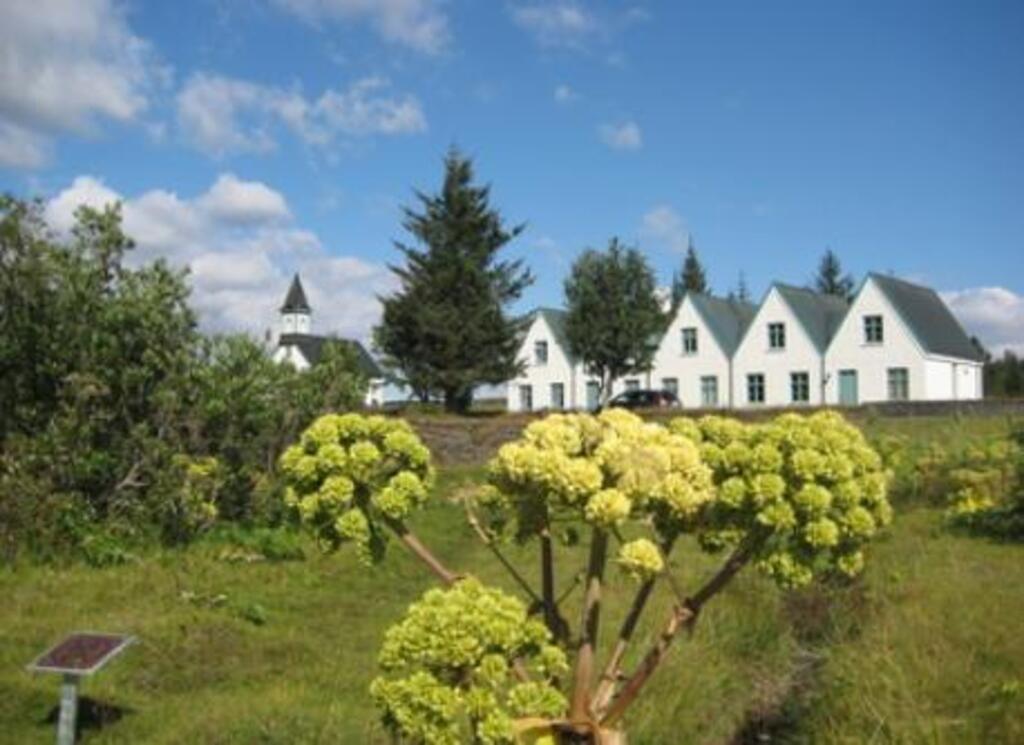 Þingvellir national park near Reykjavík.