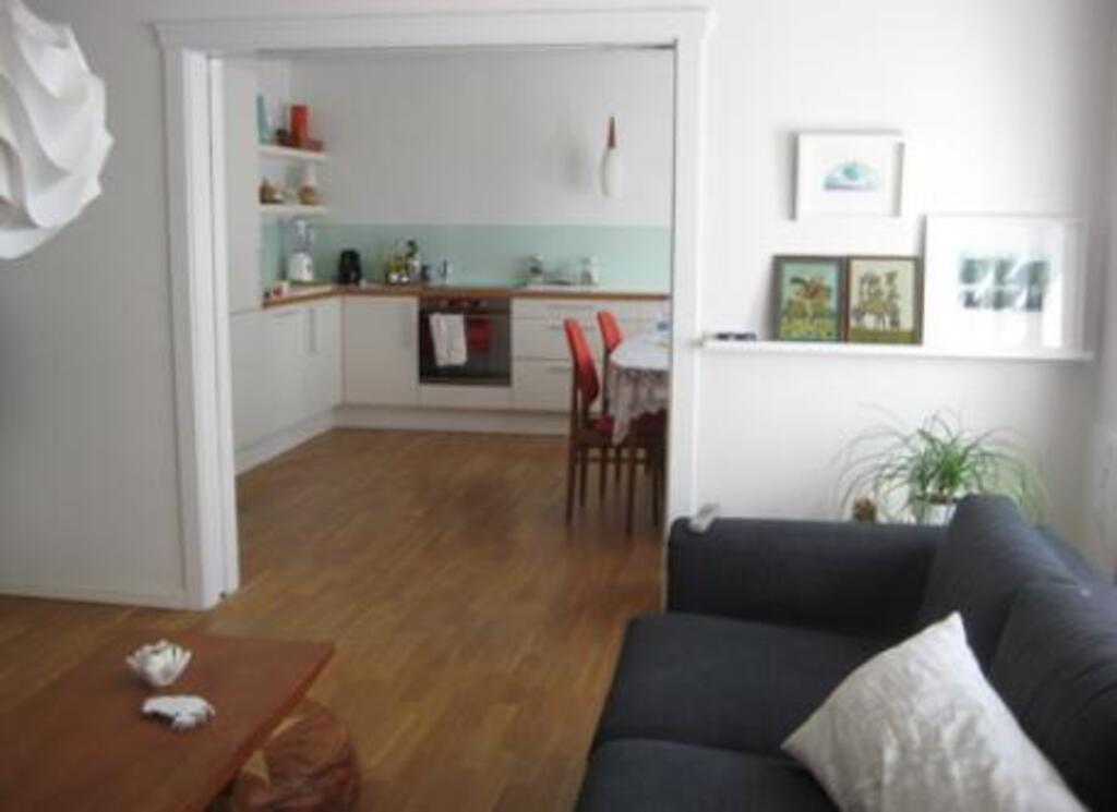 Living room and the kitchen