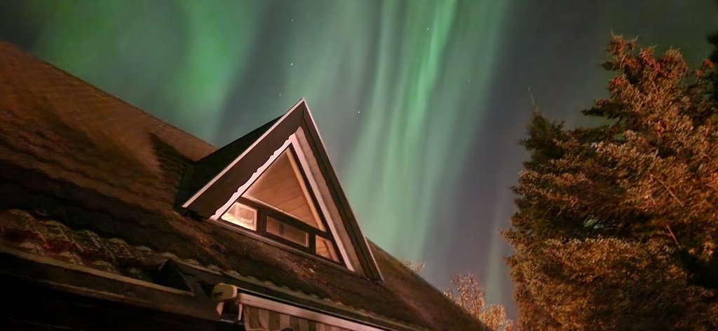 Northern lights from our garden