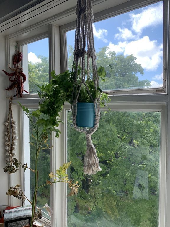 Kitchen Window in Summer