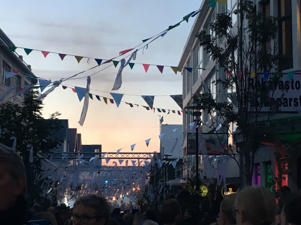 'Reykjavík Culture Night'