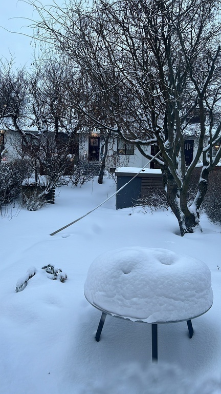Our garden in snowy winter