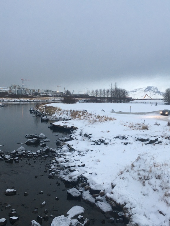 Elliðarárdalur a wonderful area very close to our home where we often take a walk.