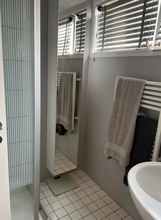 The bathroom on the first floor has a toilet, basin and a shower. 