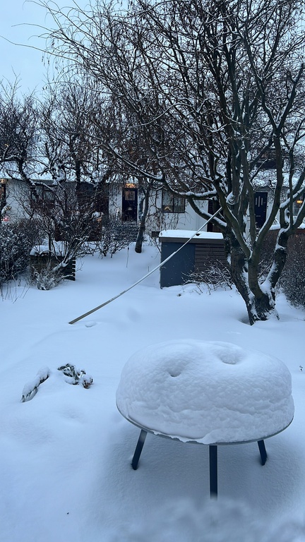 Our garden in snowy winter