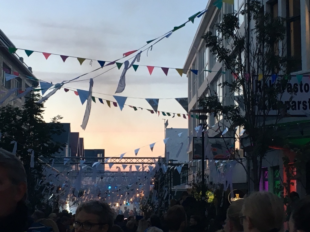 'Reykjavík Culture Night'