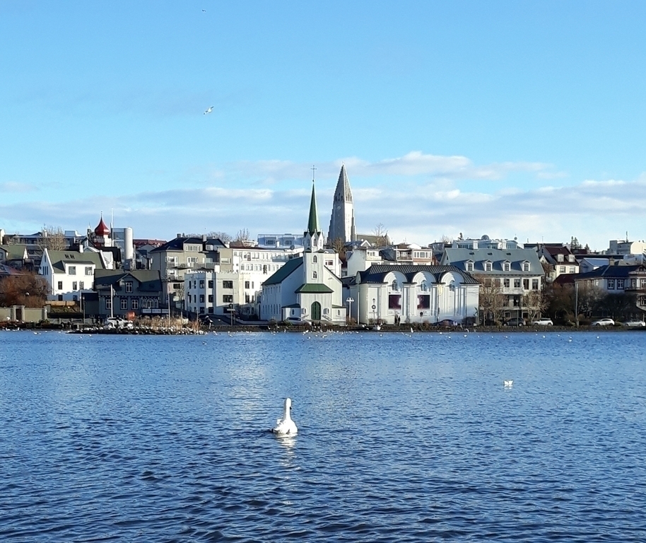 From Reykjavík pond