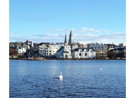 From Reykjavík pond
