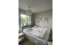 The bed when expanded