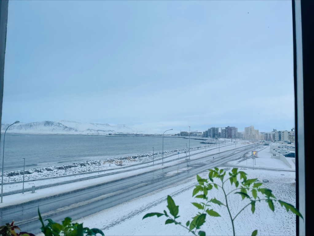 View from the big bedroom during winter. 