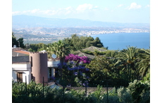 view from my terrace