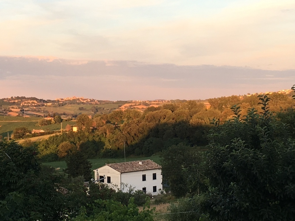 This part of Marche calls dolce colline - gentle hills