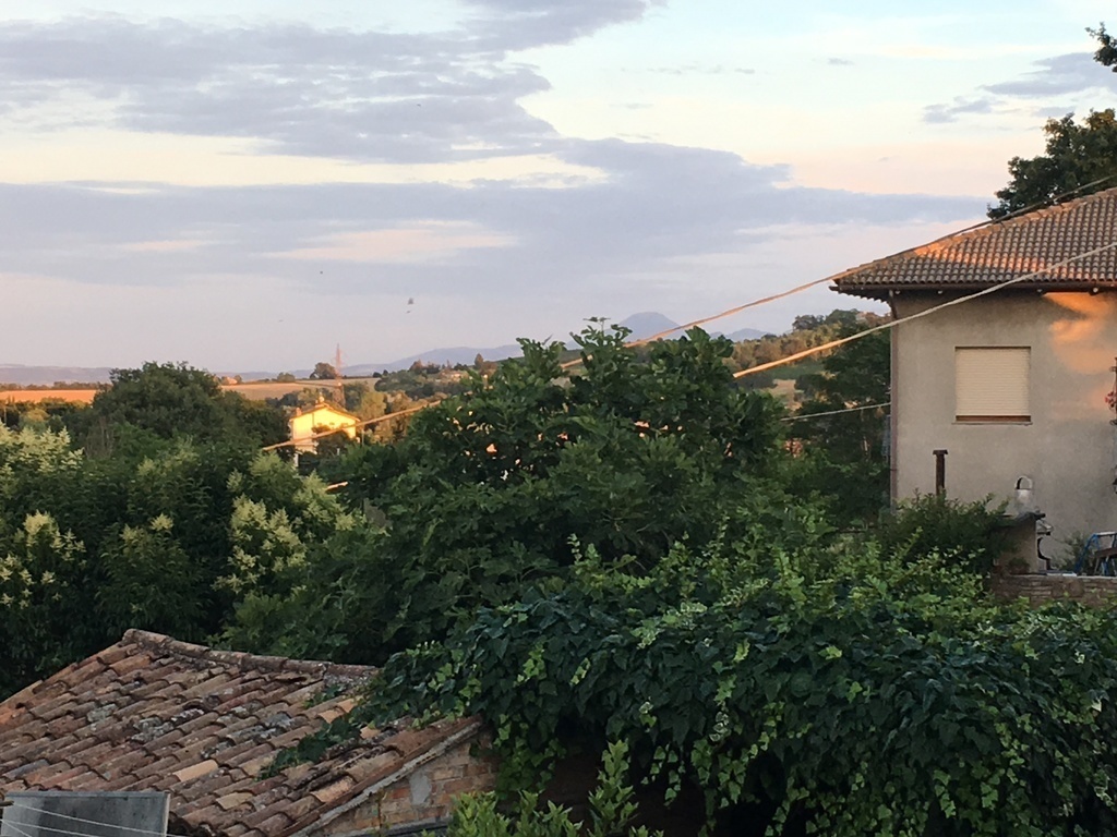 View from the window