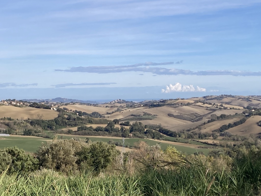 Typical landscape of the Marche