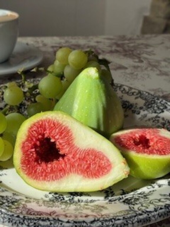 Figues from our garden - september is the best time for harvest! 