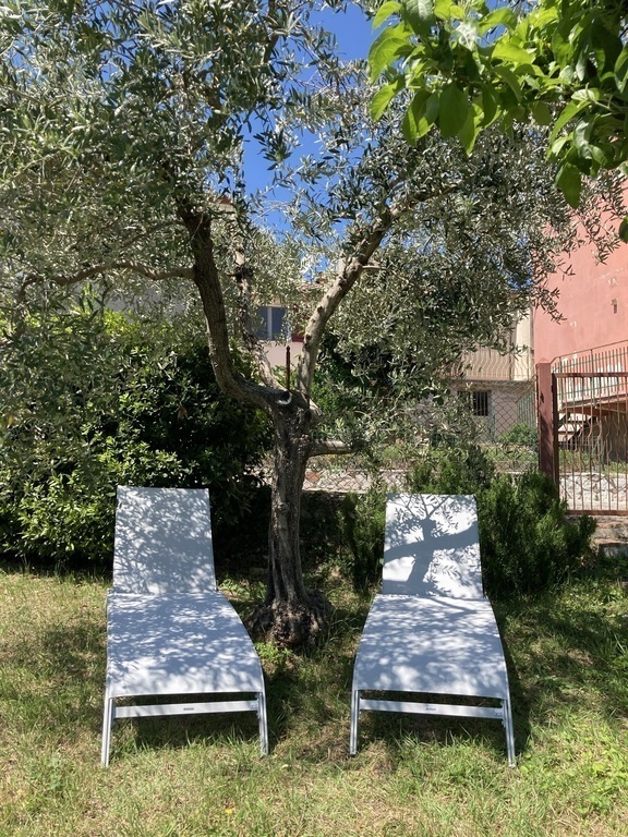 Garden with quiet places to stay in the shadow