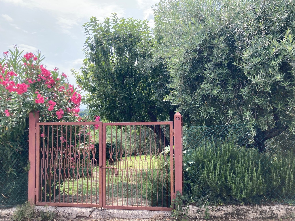 Entrance to the garden