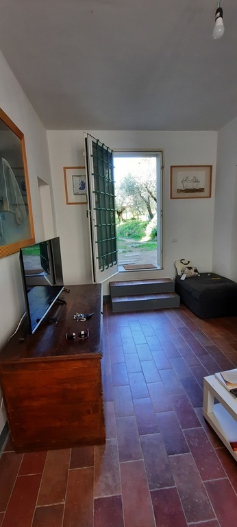 to go outside to the field