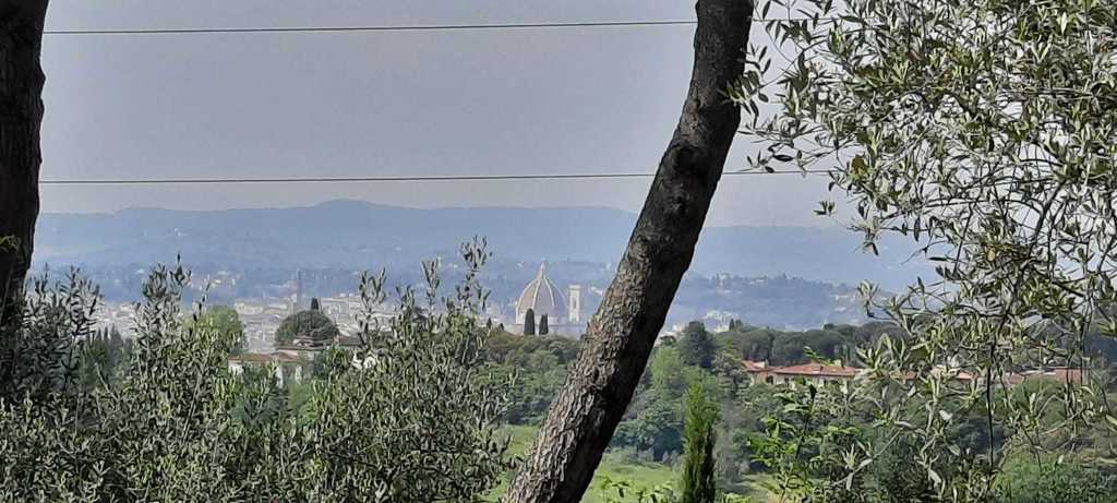 The Cupola of the Florence Dome from our field