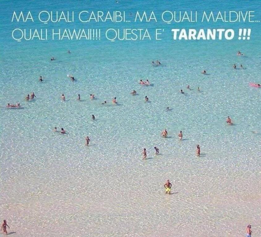 Can you imagine this?