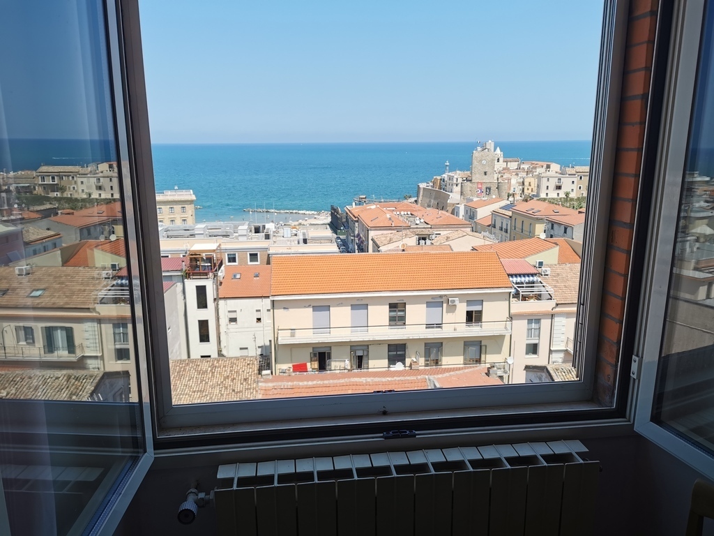 View from the guestroom's window