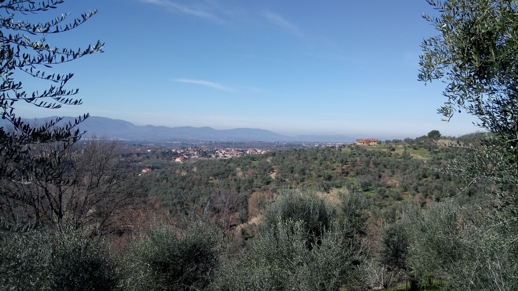 Panorama of Castelfranco di Sopra (1 kilometer away from the house), visible above Certignano.