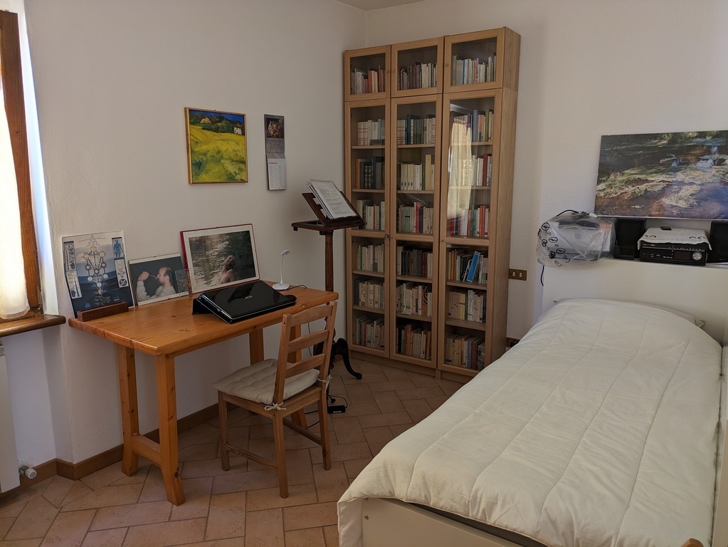 The single bedroom with the bookcase. Another bed is under the visible one.
