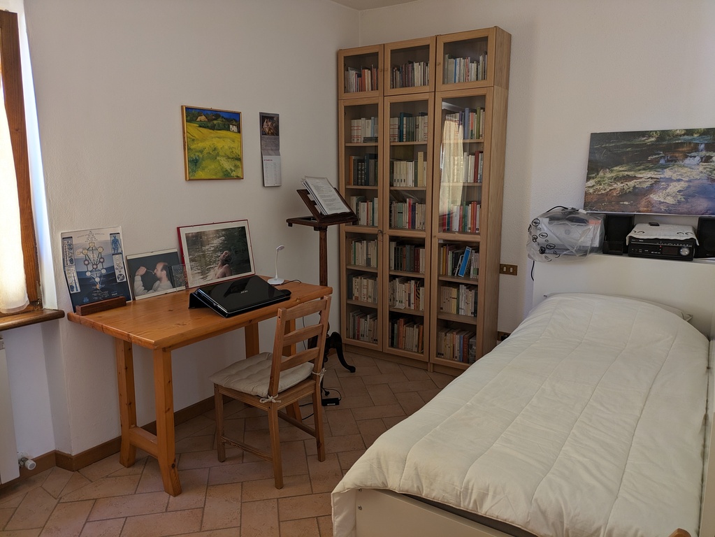 The single bedroom with the bookcase. Another bed is under the visible one.