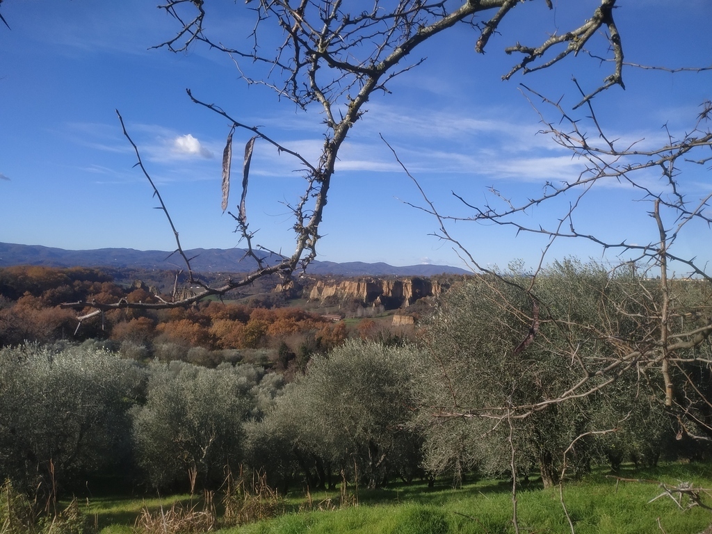 Another typical view of the Balze of Valdarno, from the village of Piantravigne.