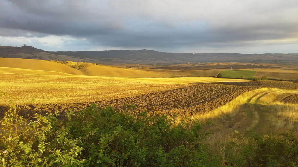 summer lanscape home all around 