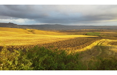 summer lanscape home all around 