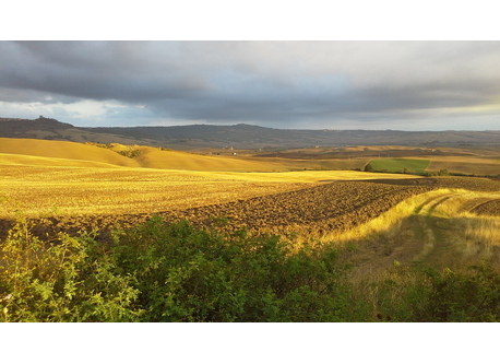 summer lanscape home all around