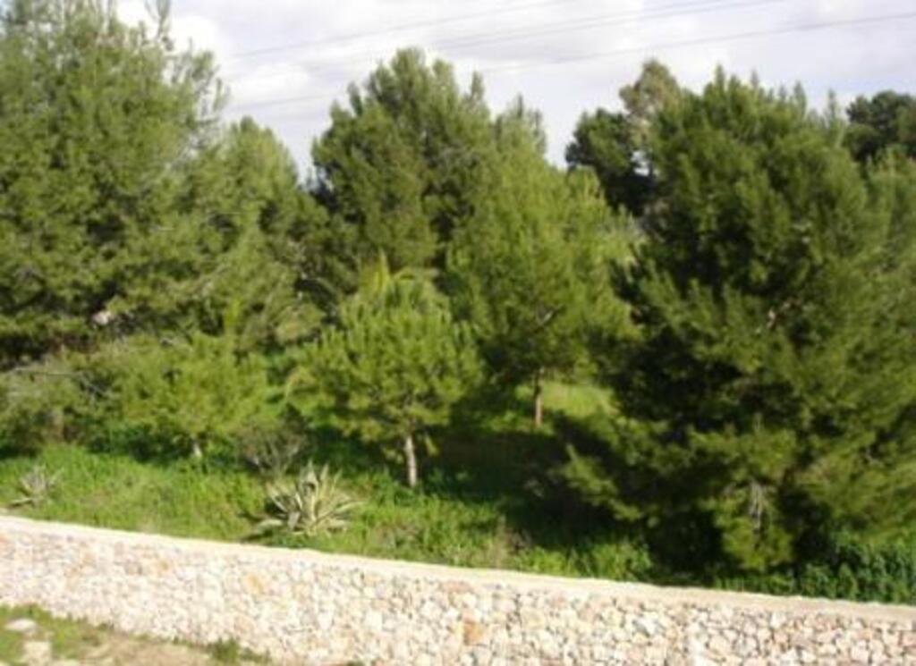 wiew from 2° bedroom