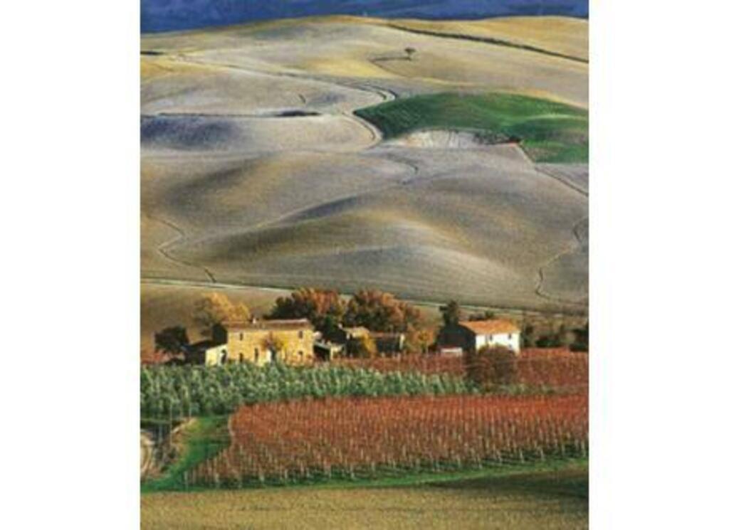 View of le Crete Senesi