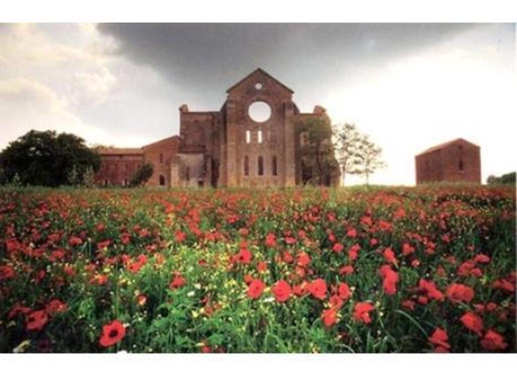 San Galgano Abbey