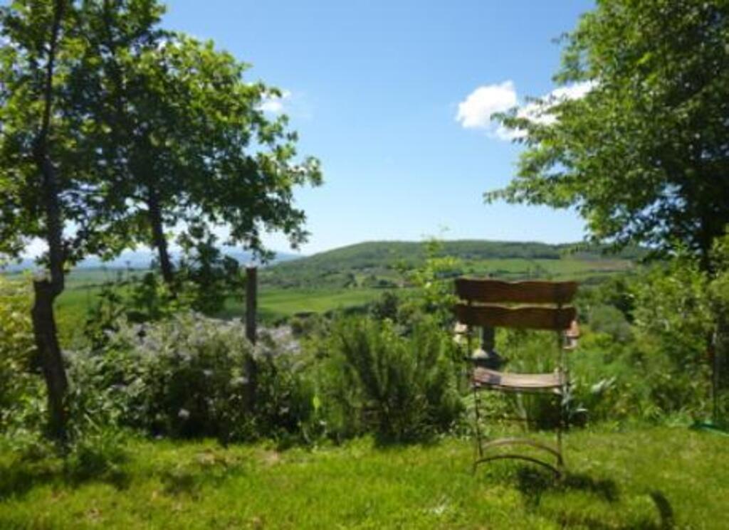 A chair in the Nature: view from the garden