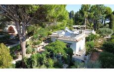 casa e giardino visti dall'alto