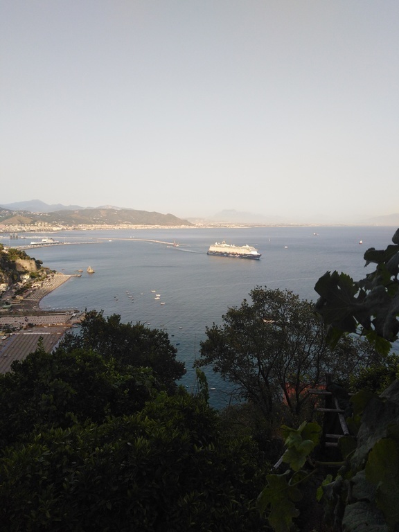 view from terrace
