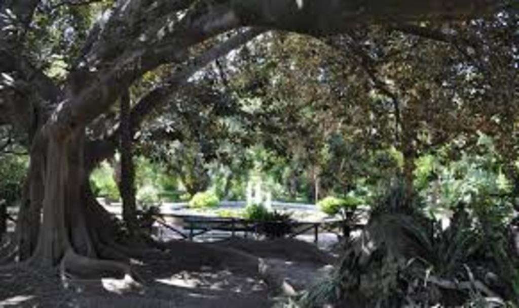 Orto Botanico Cagliari