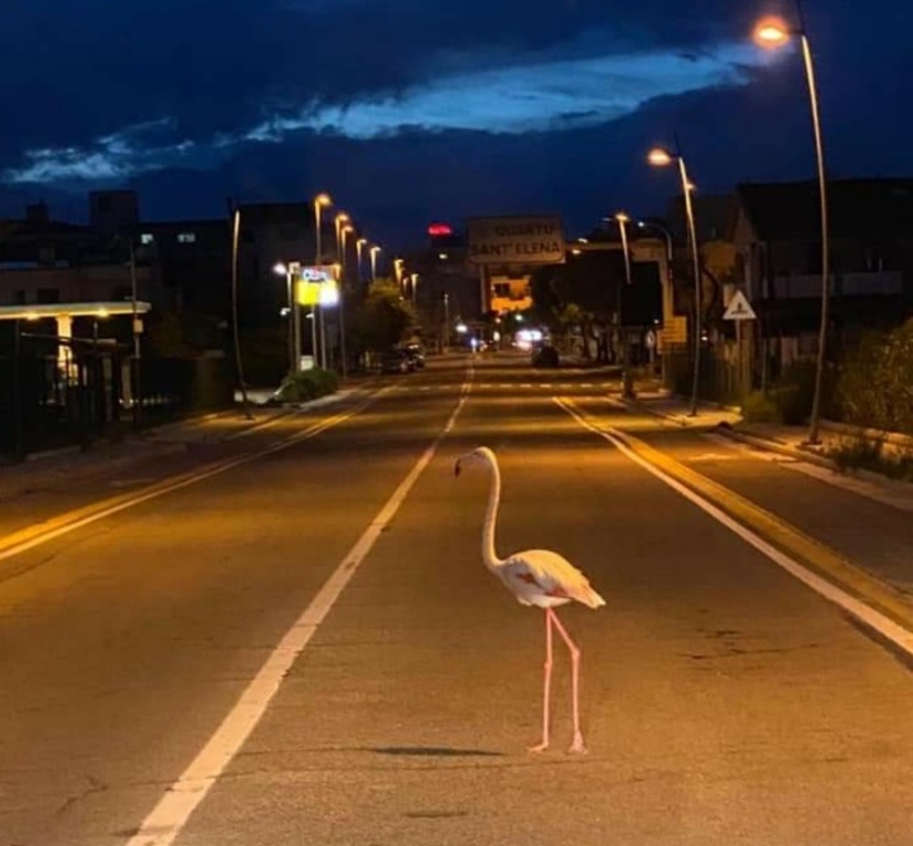 Viale Colombo Quartu Sant'Elena