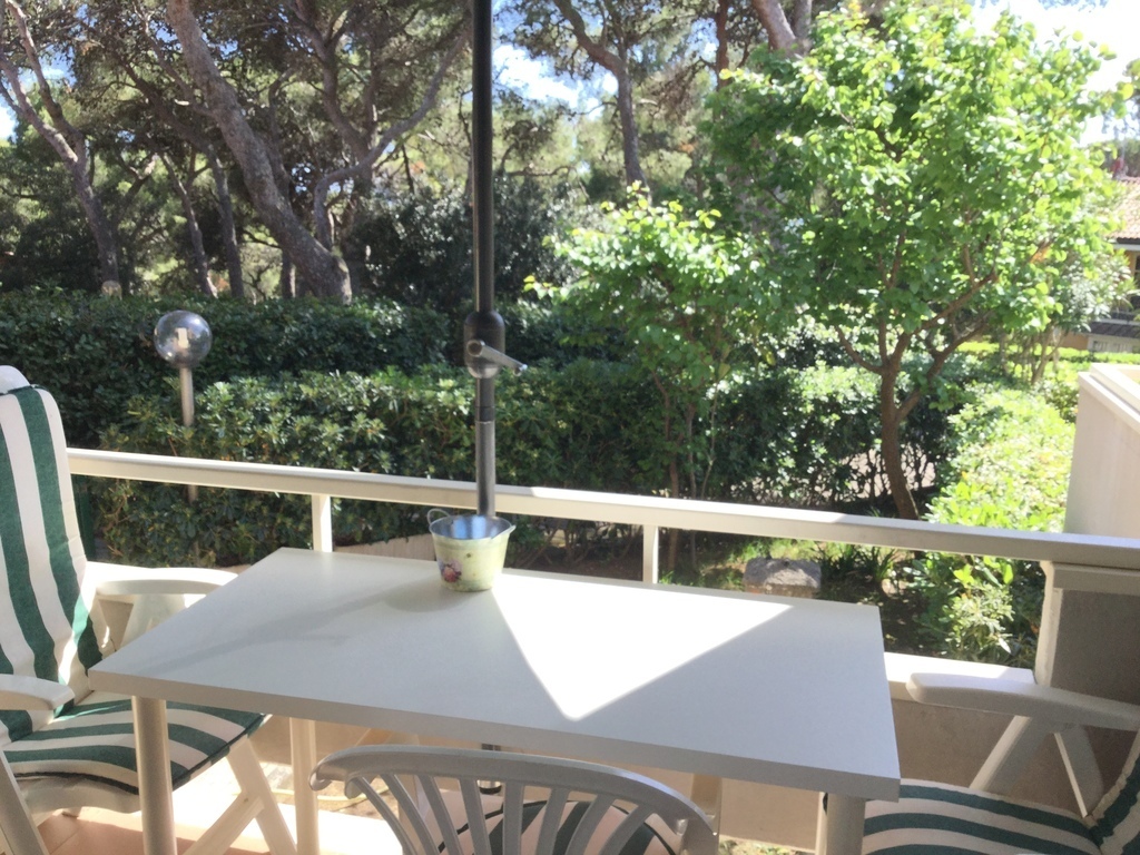 Terrace overlooking the garden